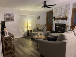 智能電視、壁爐、DVD 播放機、書籍