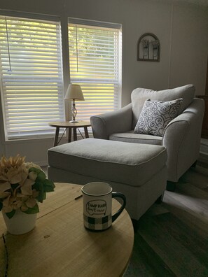 Una Smart TV, una chimenea, un reproductor de DVD, libros