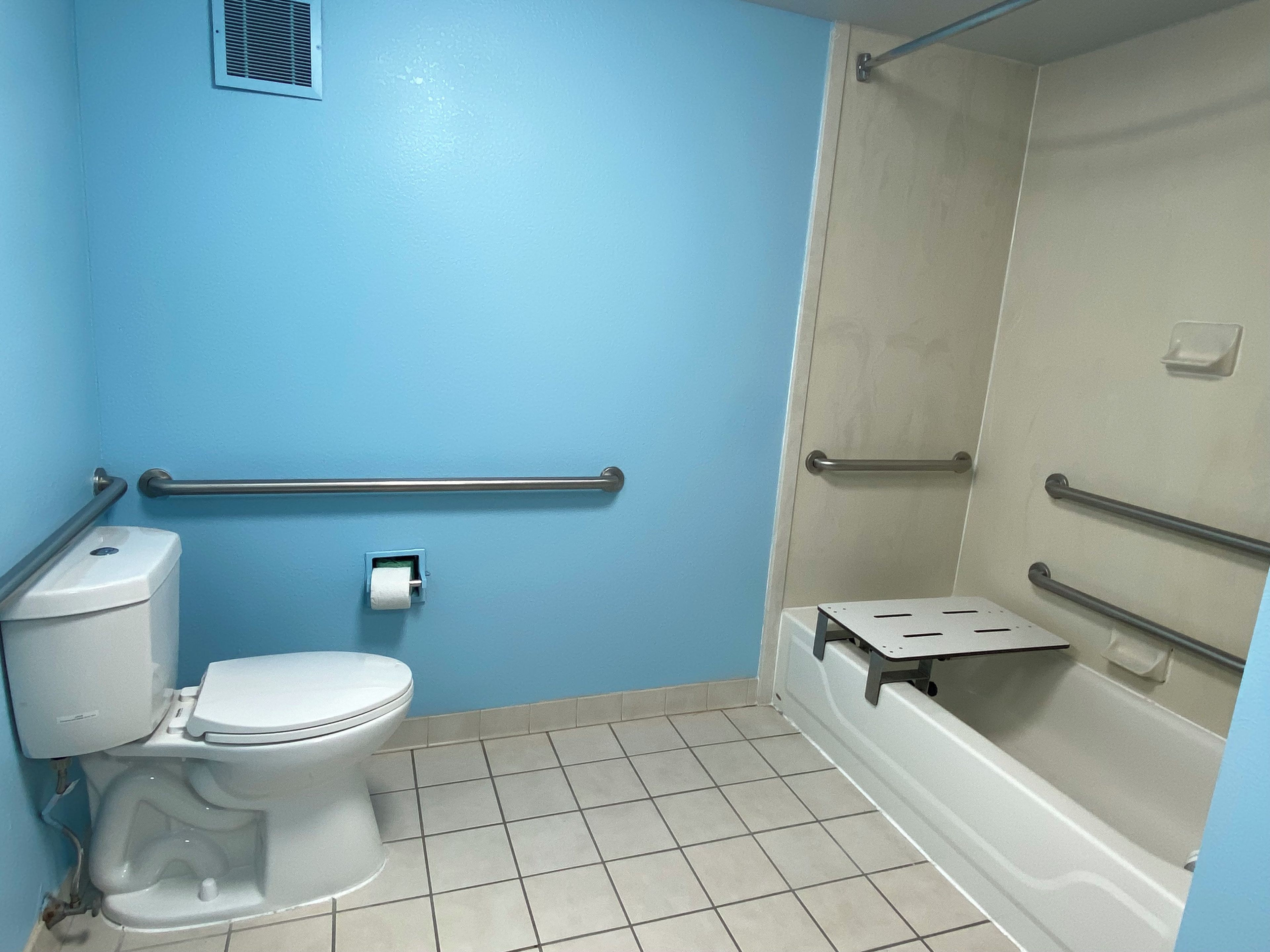 A bathroom with a toilet, a shower, and a grab bar.