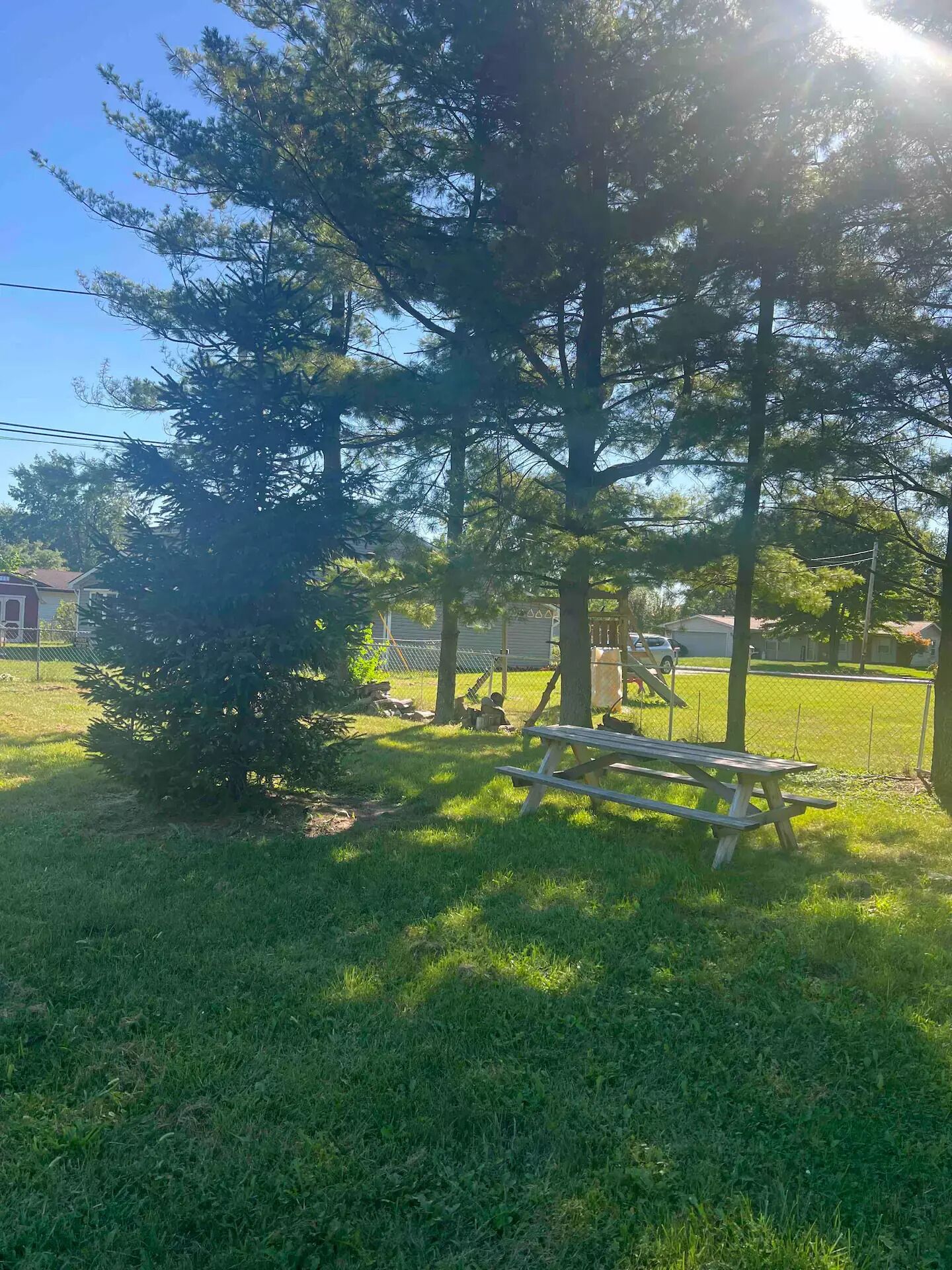 Un espacio al aire libre con césped, una mesa de picnic y un árbol pequeño.