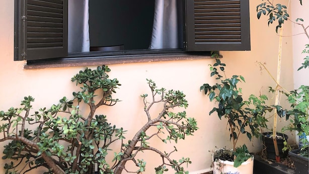 基本套房