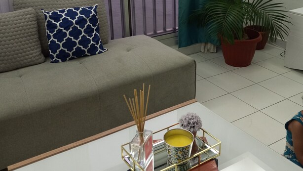 A living room with a grey sofa, a patterned pillow, a glass coffee table with a book and decorative items, and a potted plant.