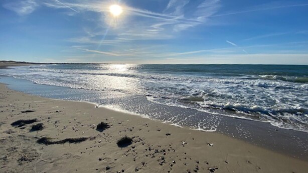 Une plage où l’on voit des empreintes de pas menant à l’eau, des vagues et un ciel dégagé.
