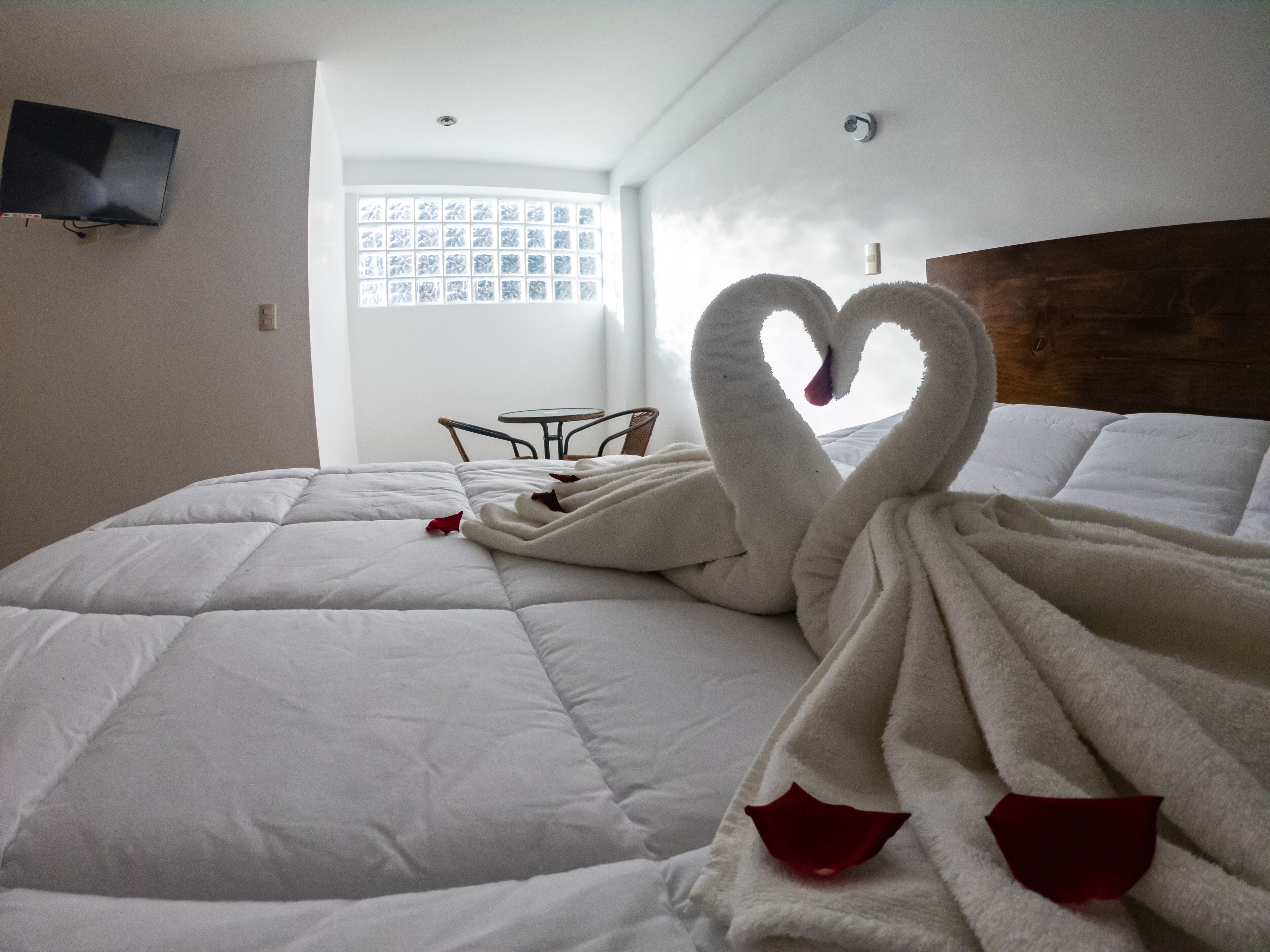 Photo - Hotel Los Laureles