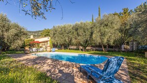 Ein Swimmingpool mit Liegestühlen, umgeben von Olivenbäumen und einer Terrasse mit Gartenmöbeln.