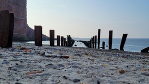 A rocky beach with wooden posts and a cliff in the background.