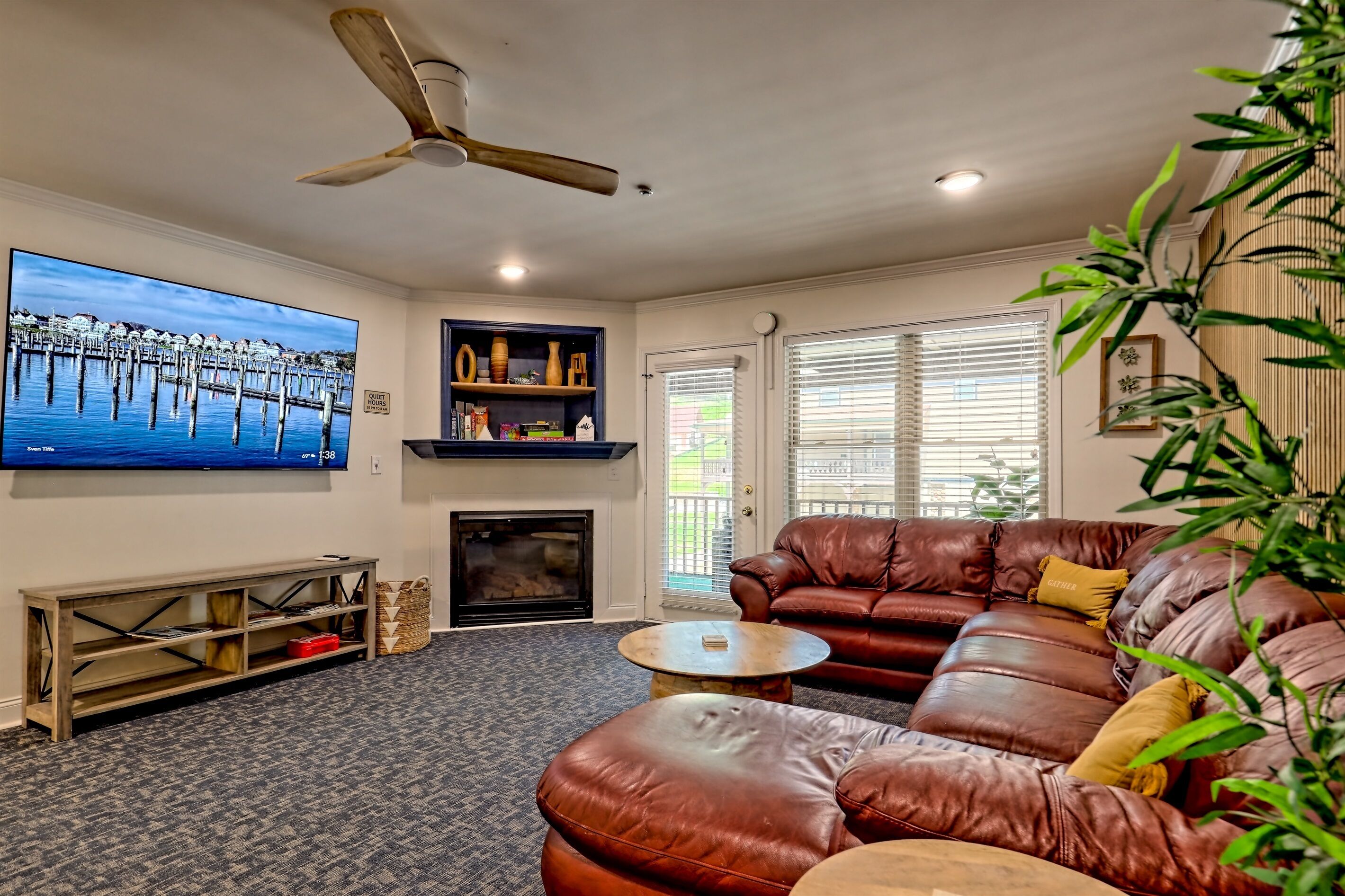 Smart TV, fireplace, books
