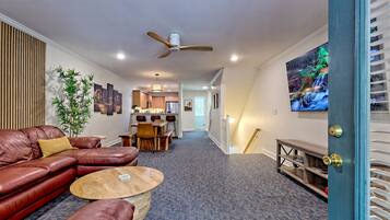 Smart TV, fireplace, books