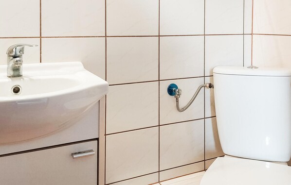 A bathroom with a white sink, a toilet, and a shower head.