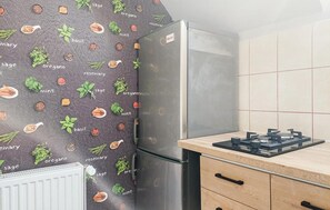 Fridge, stovetop, cookware/dishes/utensils