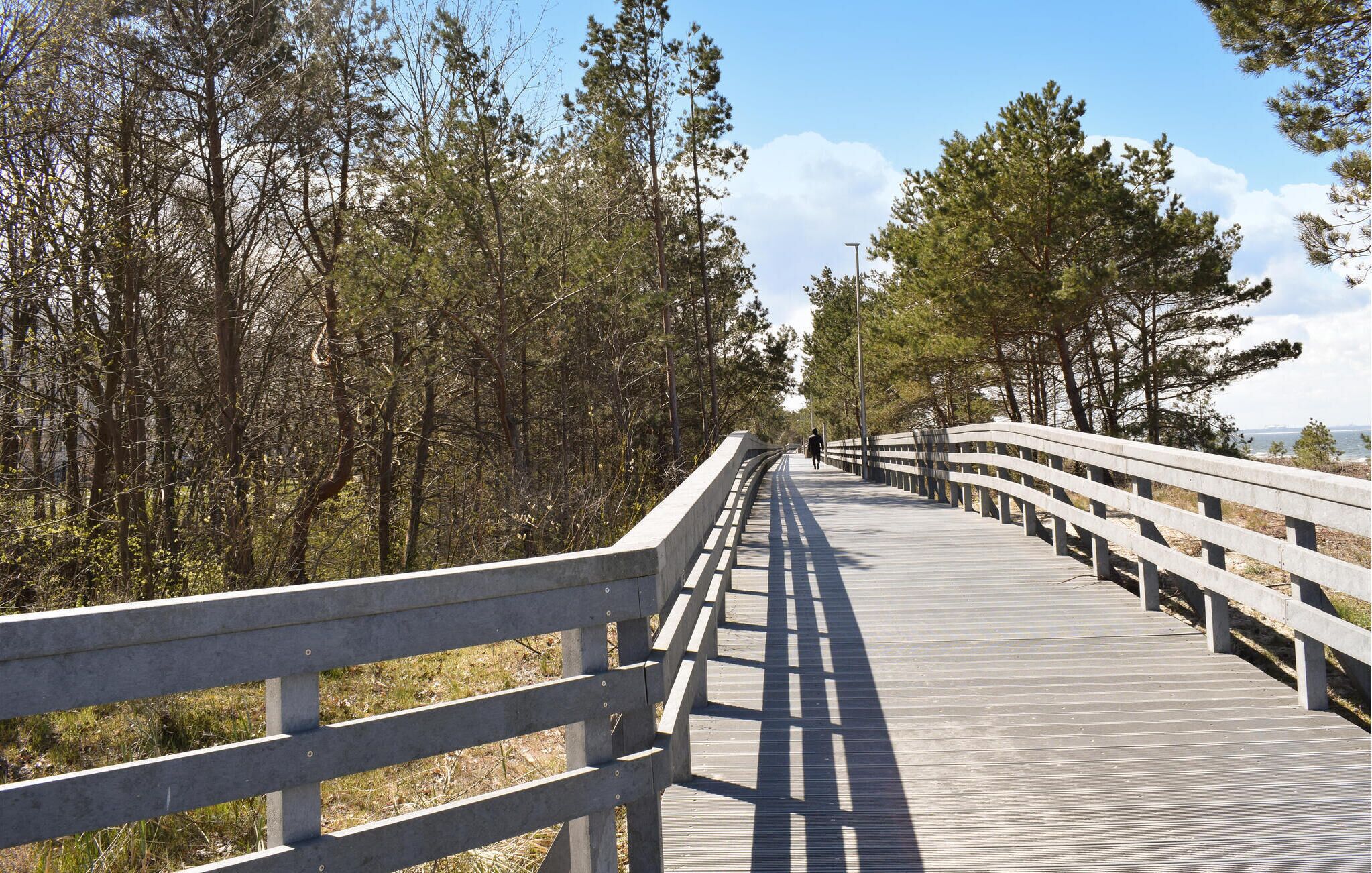 A wooden boardwalk with railings, surrounded by trees and leading towards a body of water.