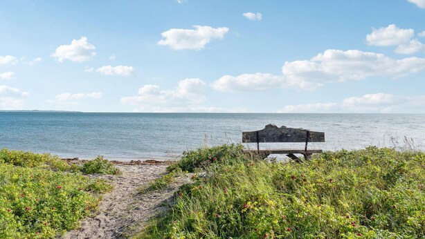 A coastal landscape with a wooden structure on stilts, surrounded by vegetation and leading to a sandy beach. - 3 bedroom gorgeous home in Malling (Malling)