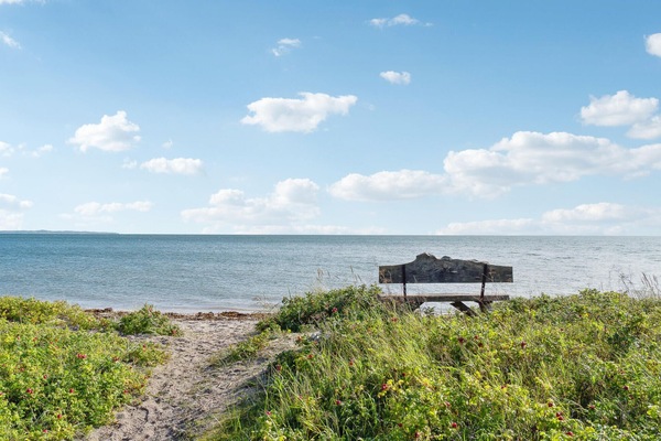 Playa en los alrededores y pesca