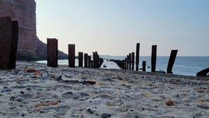 Une plage avec des poteaux en bois et des galets.