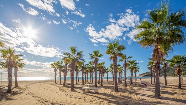 Playa en los alrededores