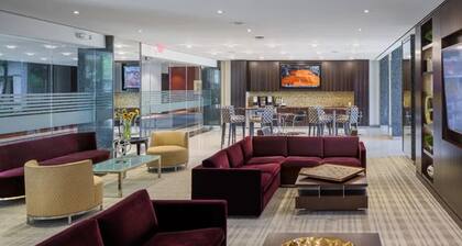 Bright Comfort in DC Apts