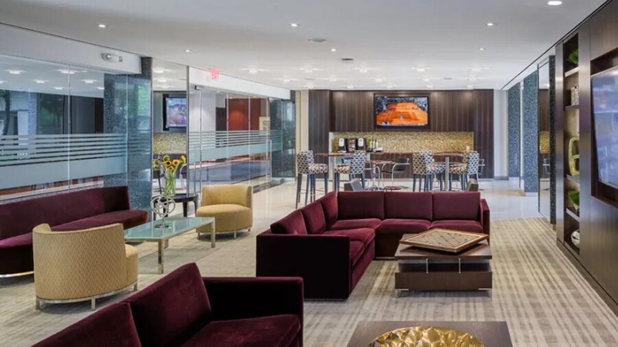 Bright Comfort in DC Apts