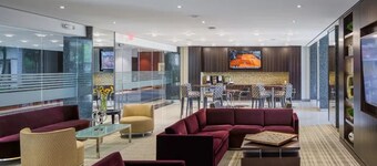 Bright Comfort in DC Apts