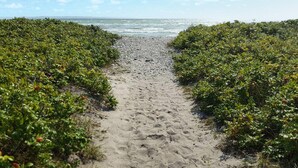 A sandy pathway flanked by dense green vegetation leading to the ocean. - 3 bedroom lovely home in Nykøbing Sj (Nykøbing Sj)