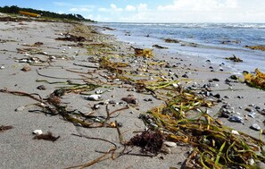 Vlak bij het strand