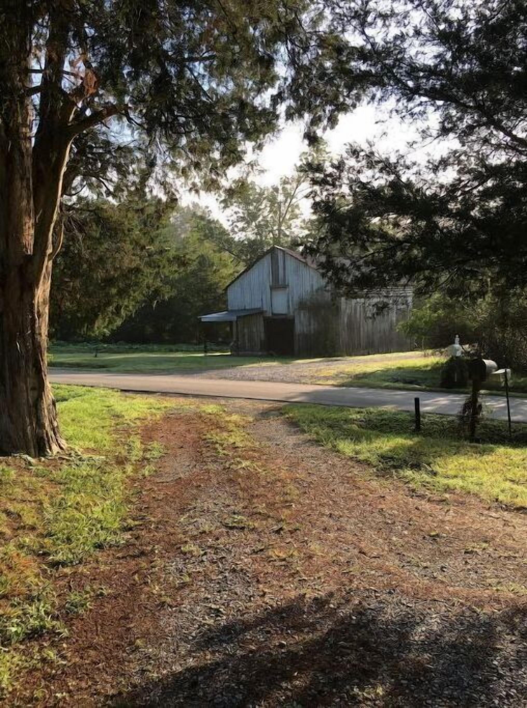 A rural setting with a dirt path leading to a wooden barn.
