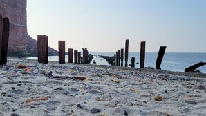 A pebbled beach with wooden posts and a rocky cliff in the background.