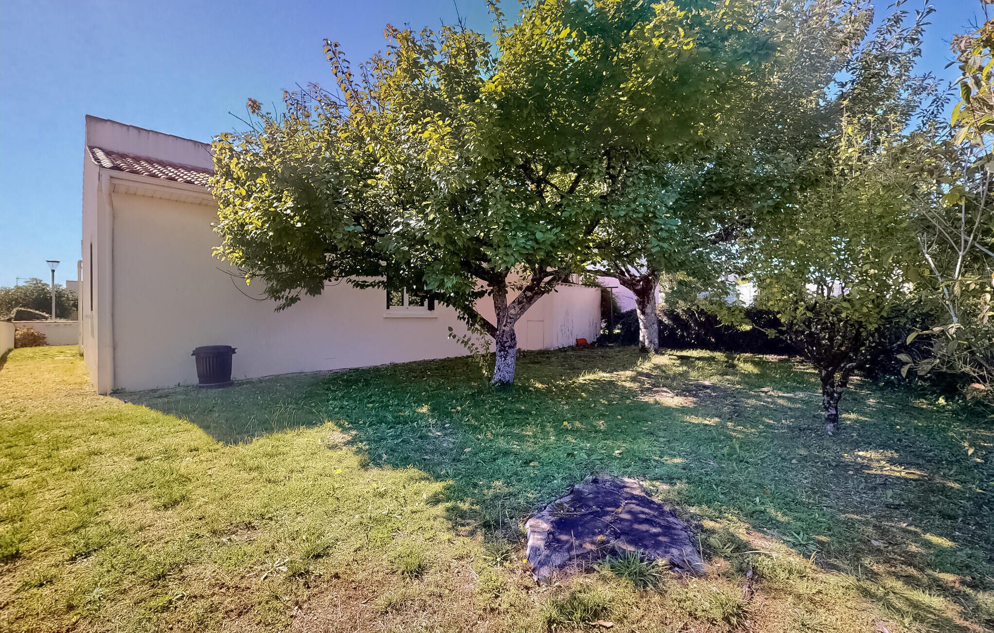 A residential area with a white building, a tree, and a grassy lawn.