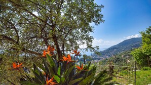 A garden with tropical plants and a view of a mountainous landscape. - Amazing home in Recco with WiFi (Recco)