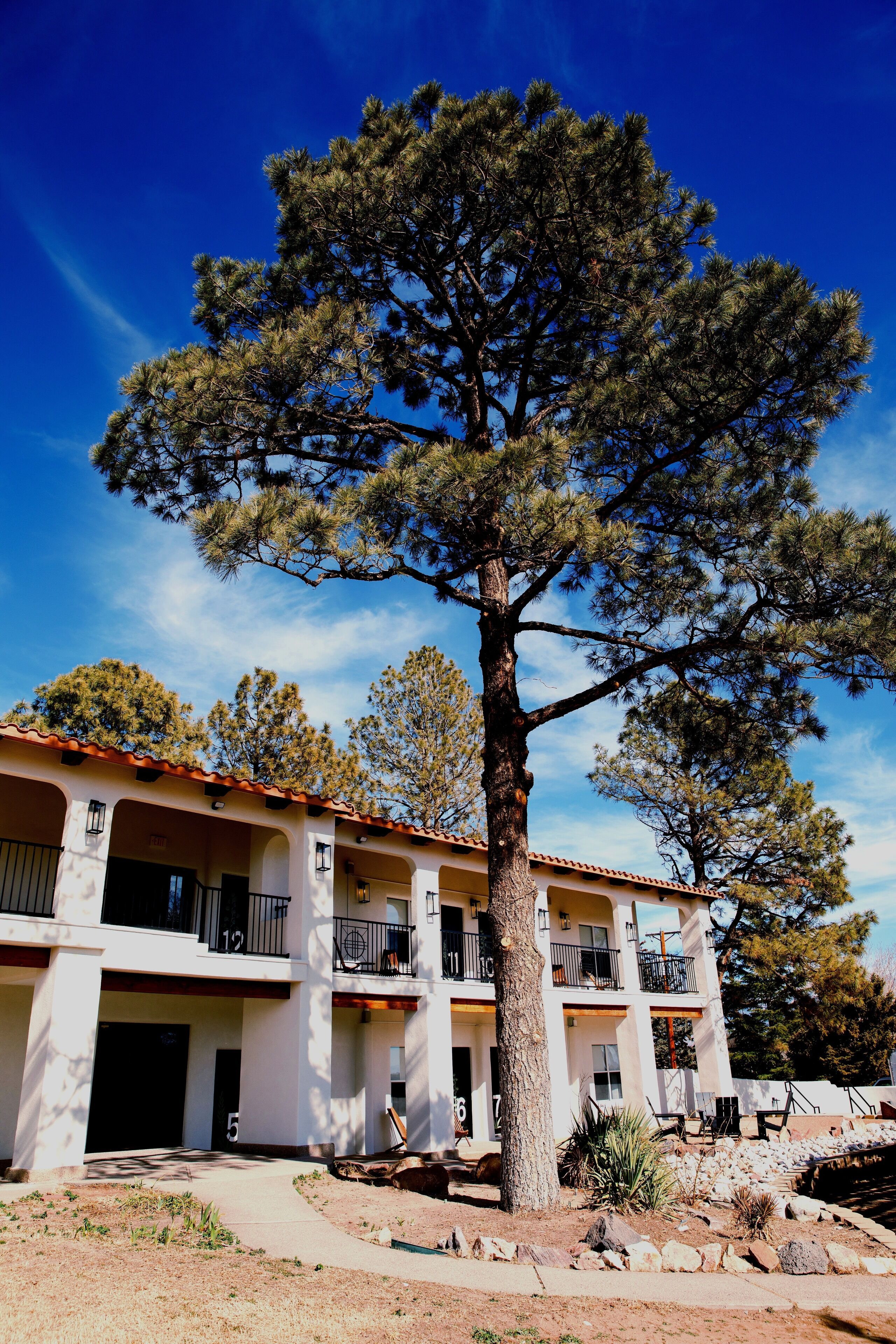 Un edificio de dos pisos con balcones, un gran árbol en la parte delantera y un cielo azul despejado.