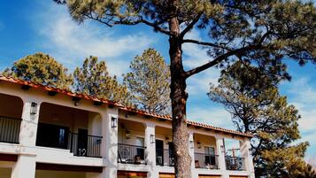 Un edificio de dos pisos con balcones, un gran árbol en la parte delantera y un cielo azul despejado.