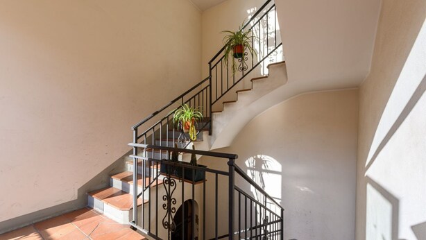 Una escalera con barandillas negras, plantas en macetas y piso de baldosas.