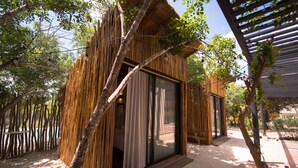 A rustic building with a thatched roof, large sliding glass doors, and a wooden exterior.