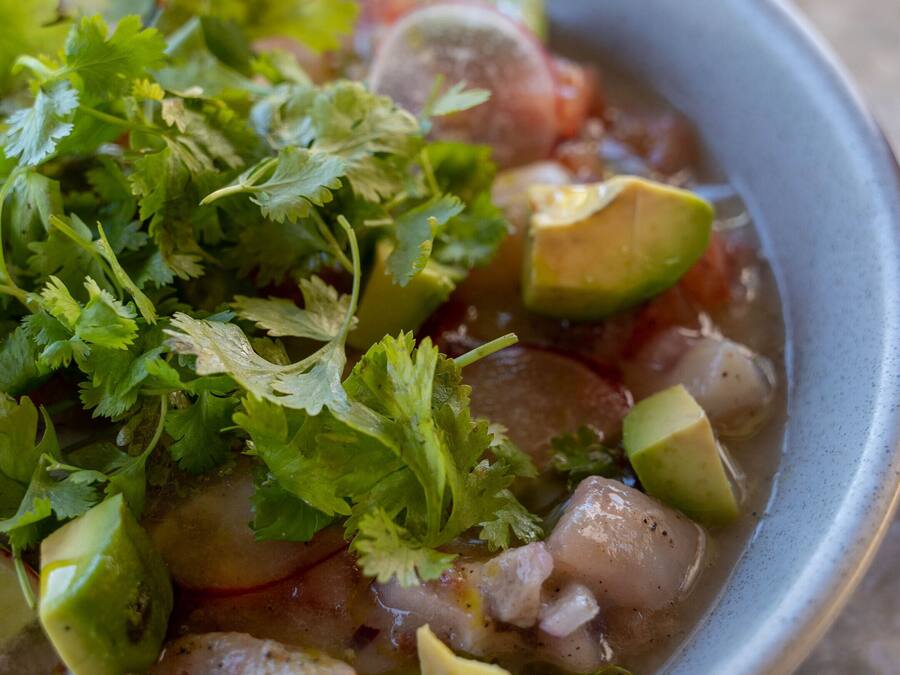A bowl of soup with avocado and cilantro garnish.
