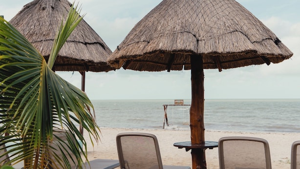 A beach with thatched umbrellas and lounge chairs.