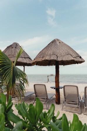 A beach with thatched umbrellas and lounge chairs. - Tótem Beach Club (Celestún)