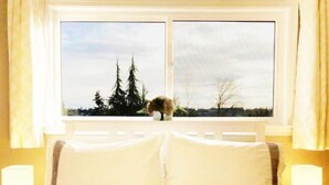 Un lit avec du linge de lit blanc et une fenêtre donnant sur des arbres et un chien.