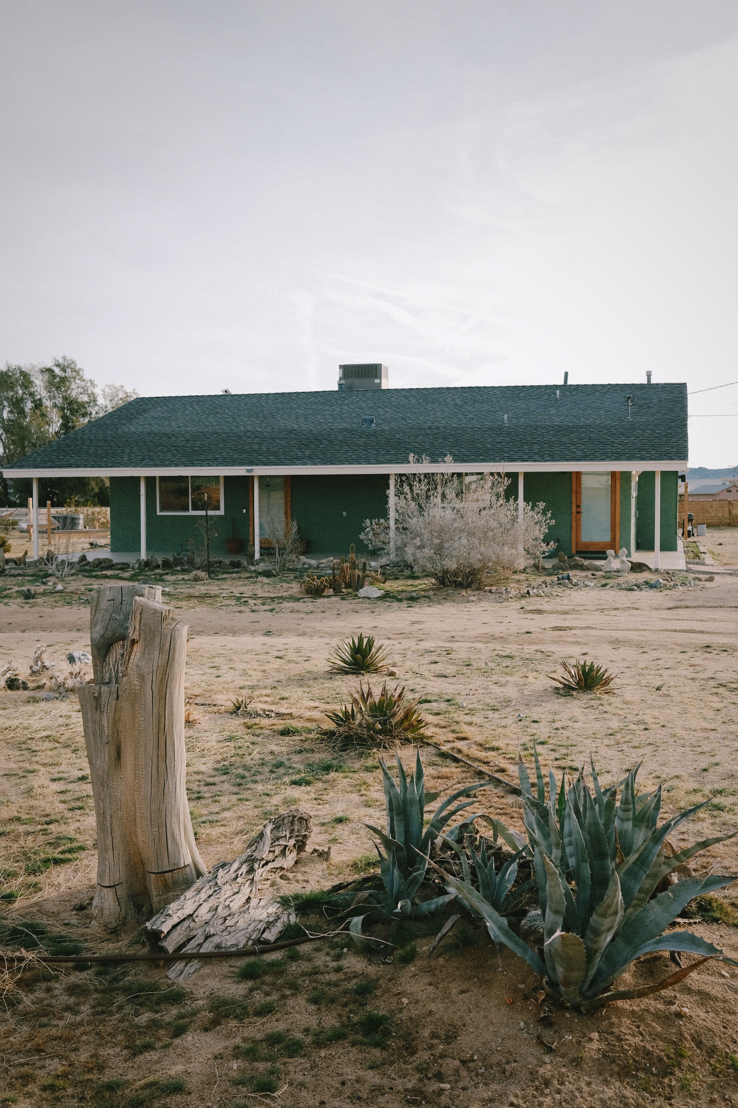 A green house with a porch, surrounded by desert vegetation.