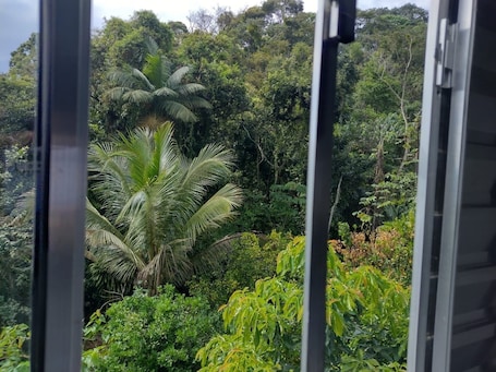 Interior. Casa De Praia Ubatuba