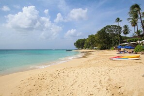 Ein Strand mit sandigem Ufer, einigen Booten und Palmen.