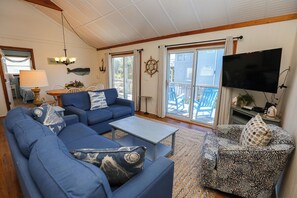 تلفزيون، مشغل دي في دي