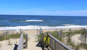 Nära stranden