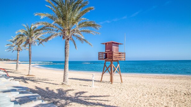 Een strand met palmbomen en een redershut.