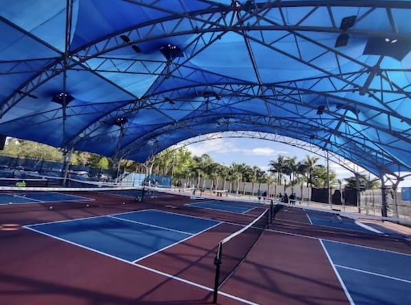 Sports court - spacious 4Bedrooms,3Bathrooms Home, in the center of everything in Naples Fl. (Naples)