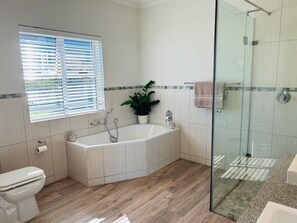 Bathtub, hair dryer, soap, shampoo