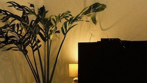 Una habitación con televisión sobre una mesa de madera, una planta en maceta y una lámpara.