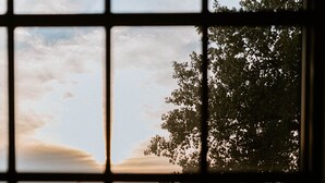 Blick durch ein Fenster mit Gittermuster, zeigt einen See, Boote und Gebäude im Hintergrund.