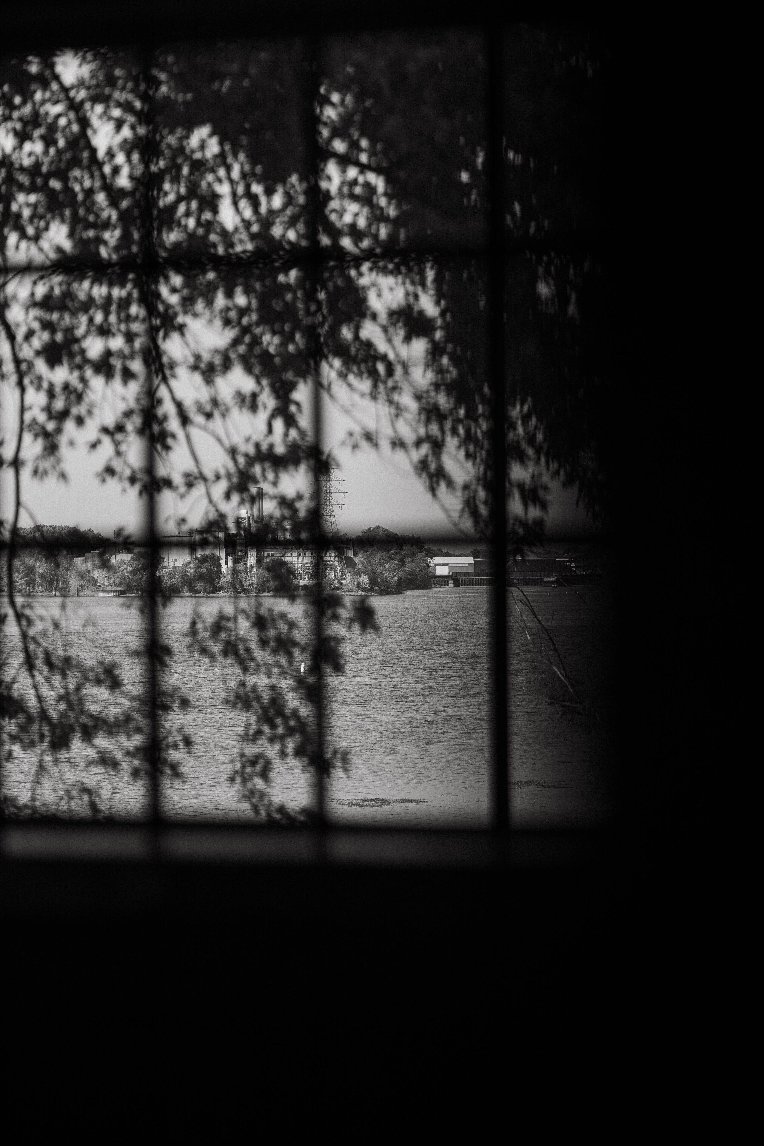 A view through a window with a grid pattern, featuring a body of water, a distant building, and trees in the foreground.