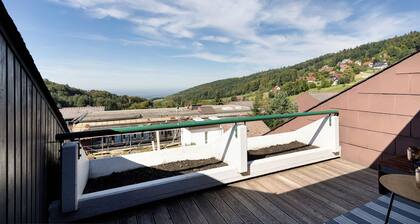 Apartment 'Schwarzwaldtraum' with Mountain View, Community Pool and Wi-Fi