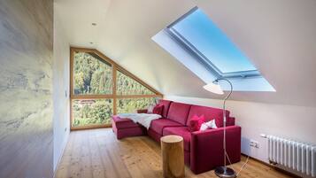 TV, table tennis, stereo