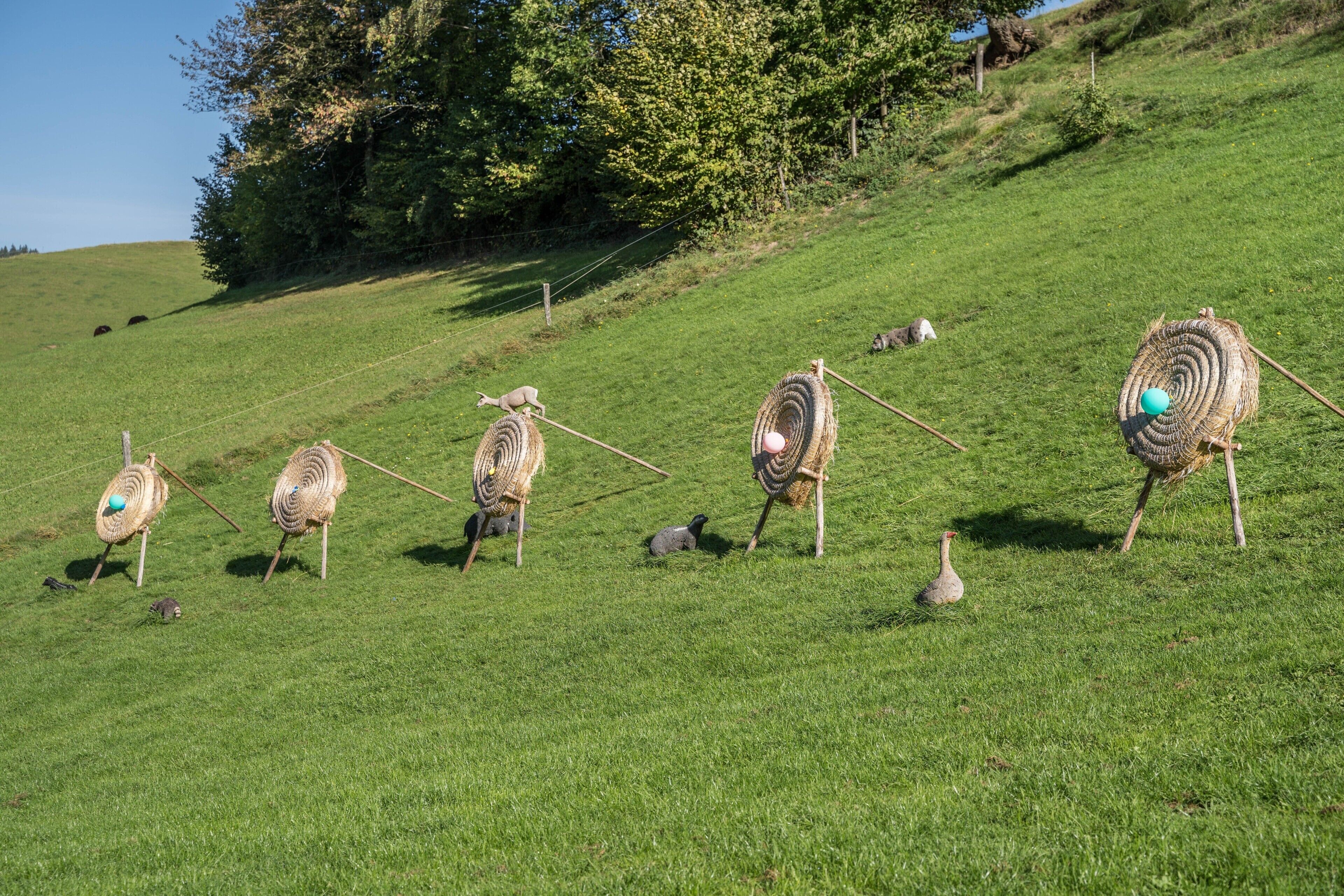 A grassy field with several large, spiral-shaped objects resembling scarecrows.